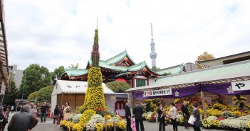 Festival des Chrysanthèmes 2016 au Kameido Tenjin-sha (article d’amuzen)