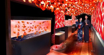 « Tokyo Goldfish Wonderland » au Sumida Aquarium (article d’amuzen)