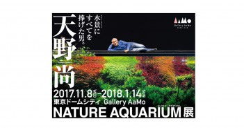 Exposition « Nature Aquarium » de Takashi Amano (article d’amuzen)