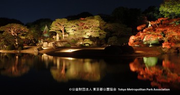 Feuilles d’automne 2017 dans le Jardin de Rikugi-en