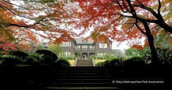Feuilles d’automne 2017 au jardin Kyu-Furukawa (article d’amuzen)