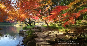 Feuilles d’automne au Jardin de Koishikawa Korakuen