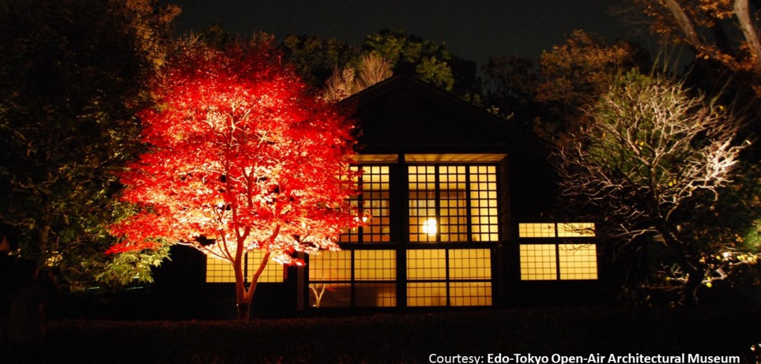 Ouverture nocturne et éclairage des feuilles d’automne au musée Tatemono-en