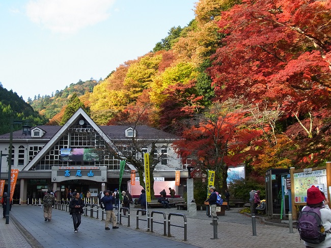 Festival des feuilles d’automne au mont Takao