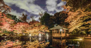 Éclairage des feuilles d'automne 2019 au Parc Otaguro