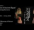 Momies de l'Egypte ancienne | amuzen